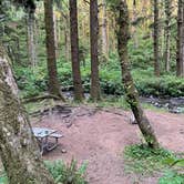 Review photo of Rock Creek Campground - Siuslaw by Kathy B., July 8, 2021