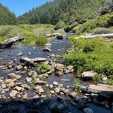 Review photo of Rock Creek Campground - Siuslaw by Kathy B., July 8, 2021