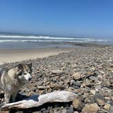 Review photo of Rock Creek Campground - Siuslaw by Kathy B., July 8, 2021