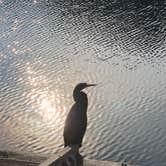 Review photo of Coastal GA RV Resort by Lorilee S., July 8, 2021