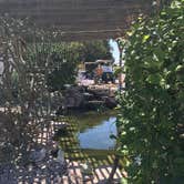 Review photo of Carlsbad KOA by Jayne  W., June 13, 2018