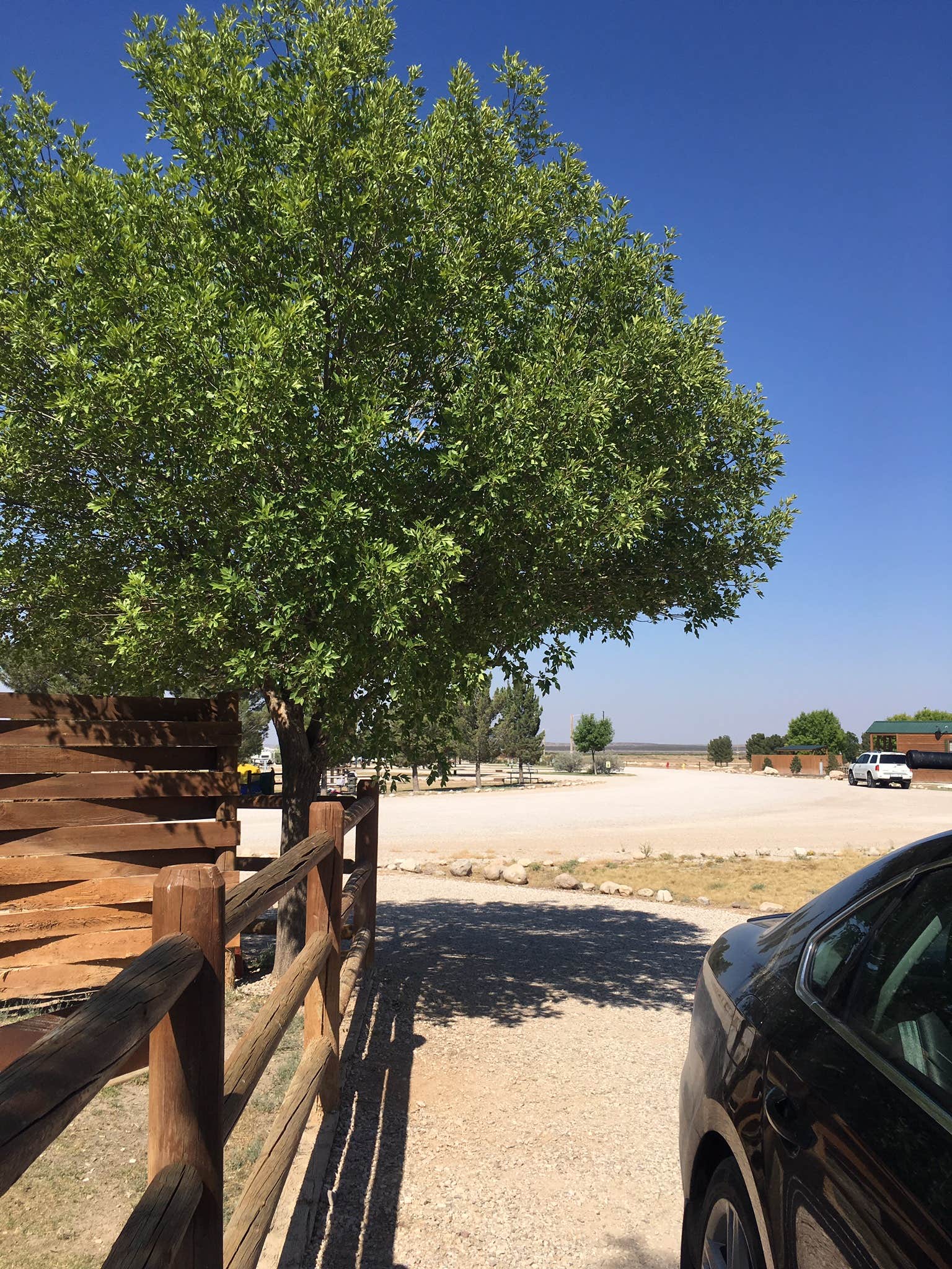 Camper submitted image from Carlsbad KOA - 2