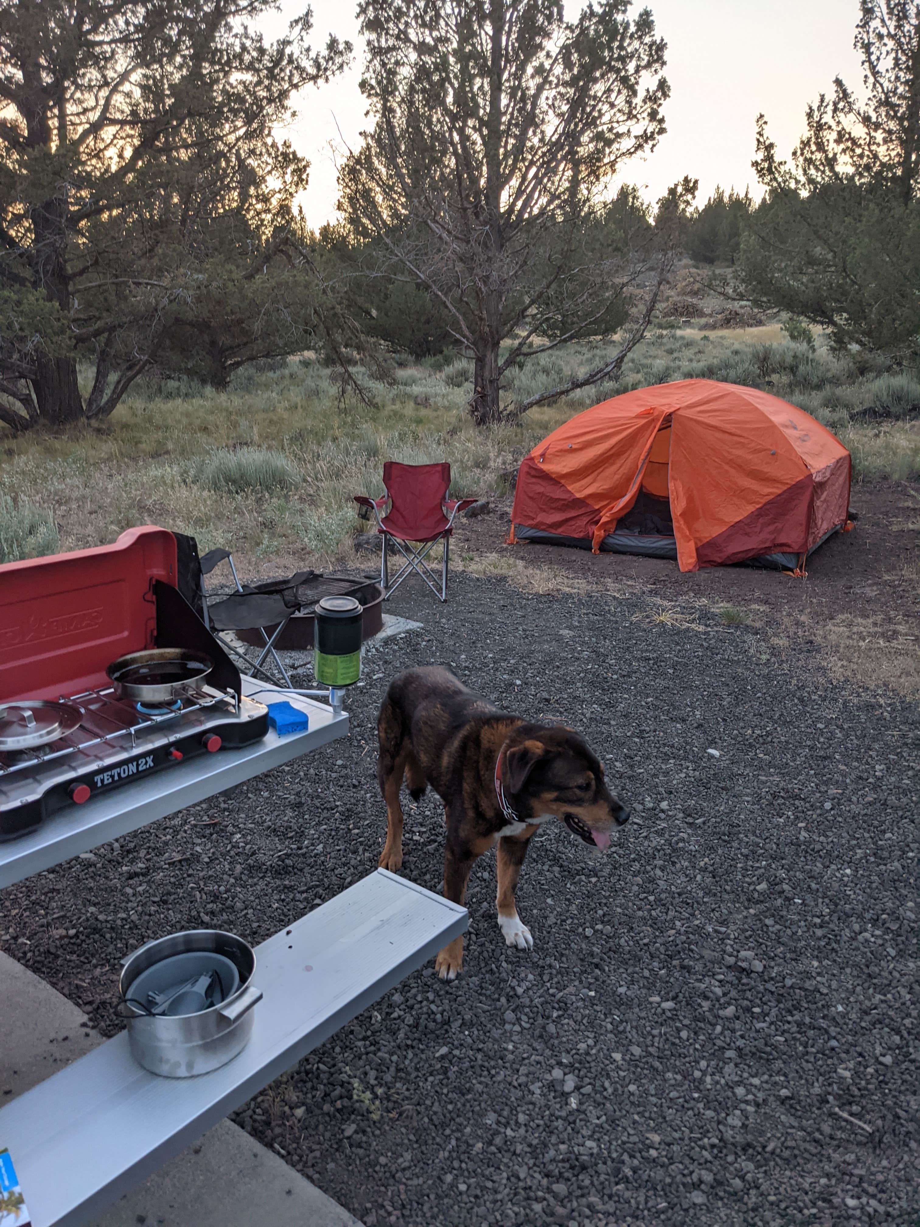 Conor B.'s photo at South Steens Campground near Frenchglen, OR