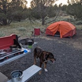 Review photo of South Steens Campground by Conor B., July 8, 2021