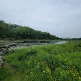 Review photo of William O'Brien State Park Campground by Don C., July 8, 2021