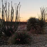 Review photo of Carlsbad KOA by Jayne  W., June 13, 2018