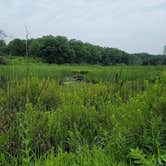 Review photo of William O'Brien State Park Campground by Don C., July 8, 2021