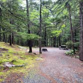 Review photo of Blackwoods Campground — Acadia National Park by Gabe , July 8, 2021