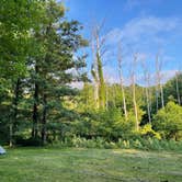 Review photo of Michaux State Forest by Joann&WellsThePup I., July 8, 2021