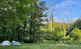 Joann&WellsThePup I.'s photo at South Michaux State Forest Campsites near Waynesboro, PA