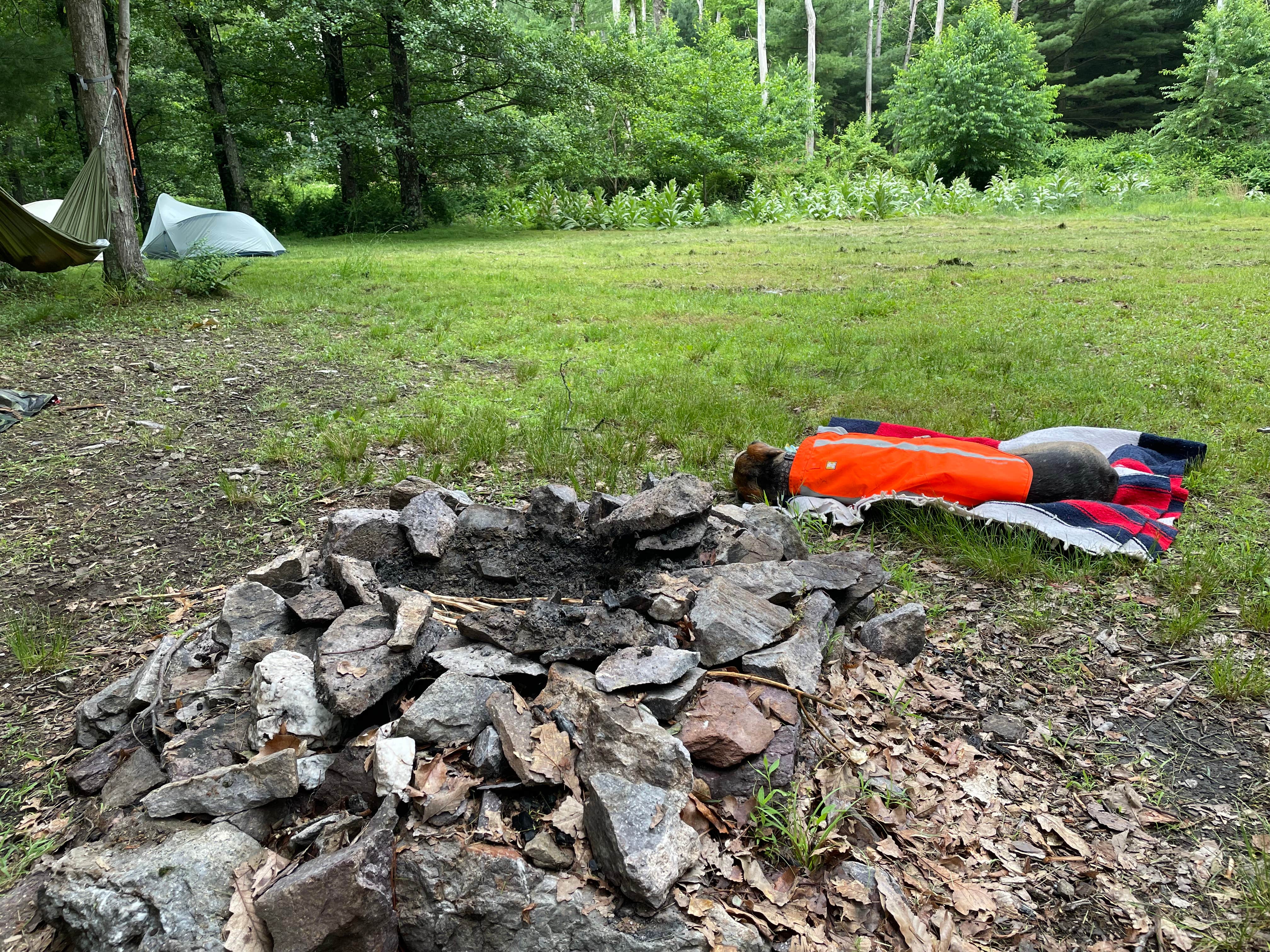 Camper-submitted photo at South Michaux State Forest Campsites near Fayetteville, PA