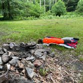 Review photo of Michaux State Forest by Joann&WellsThePup I., July 8, 2021