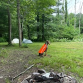 Review photo of Michaux State Forest by Joann&WellsThePup I., July 8, 2021