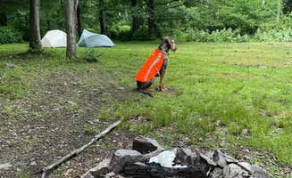 Joann&WellsThePup I.'s photo at South Michaux State Forest Campsites near Smithsburg, MD