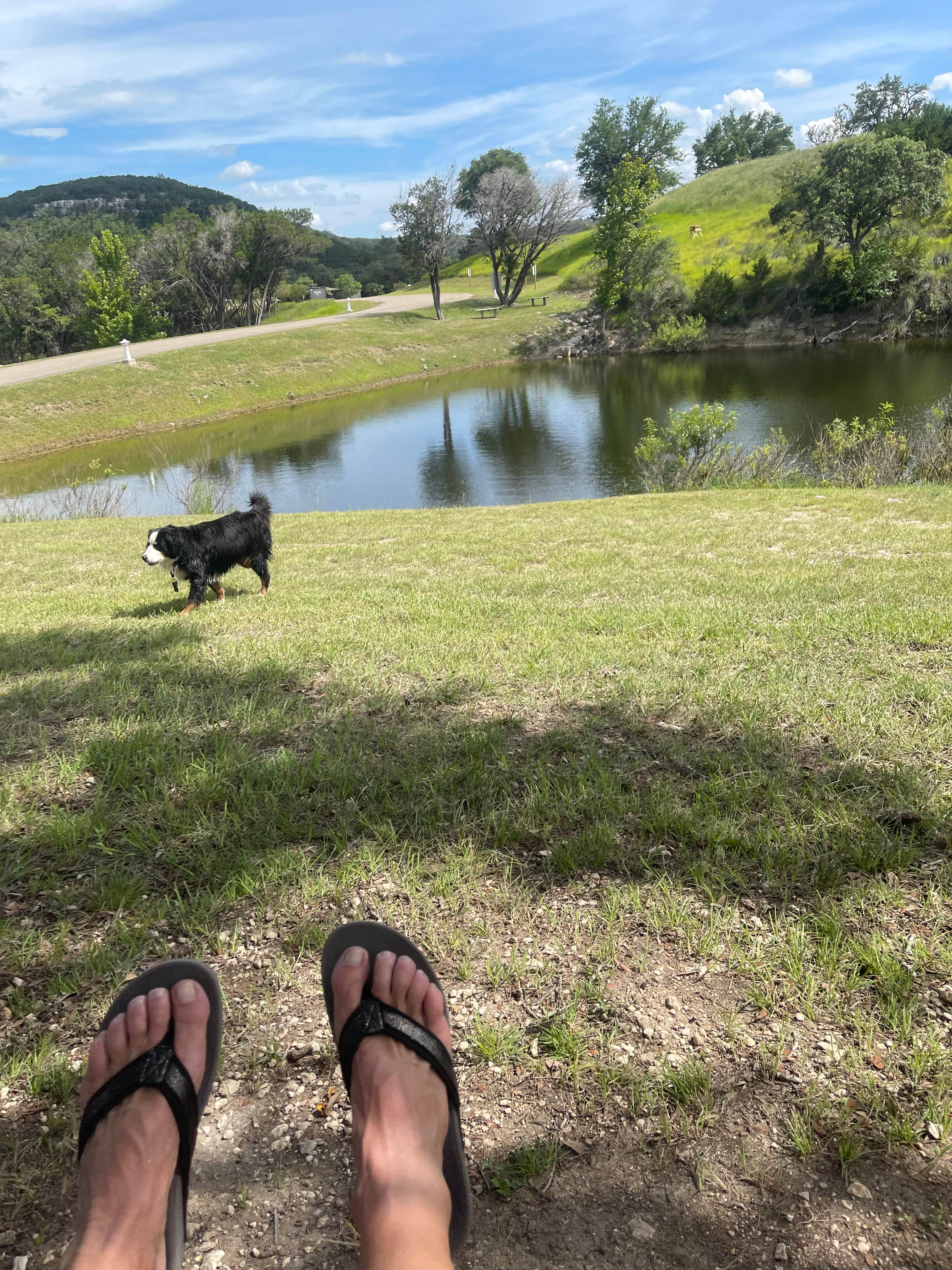 Sallie H.'s photo of camping with pets at Texas Hill Country Resort near Bandera, TX