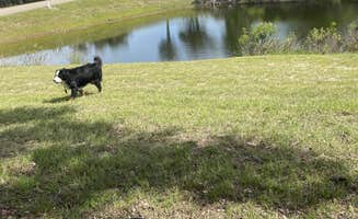 Sallie H.'s photo of camping with pets at Texas Hill Country Resort near Telegraph, TX