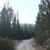 Review photo of Long Meadow Group Campground by Adira , July 8, 2021