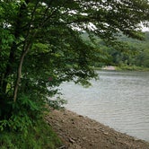 Review photo of Red Bridge Recreation Area - Allegheny National Forest by Andrew G., June 13, 2018