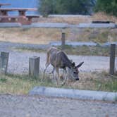 Review photo of Hellgate Campground by Nathan B., July 8, 2021