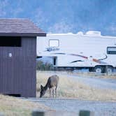 Review photo of Hellgate Campground by Nathan B., July 8, 2021