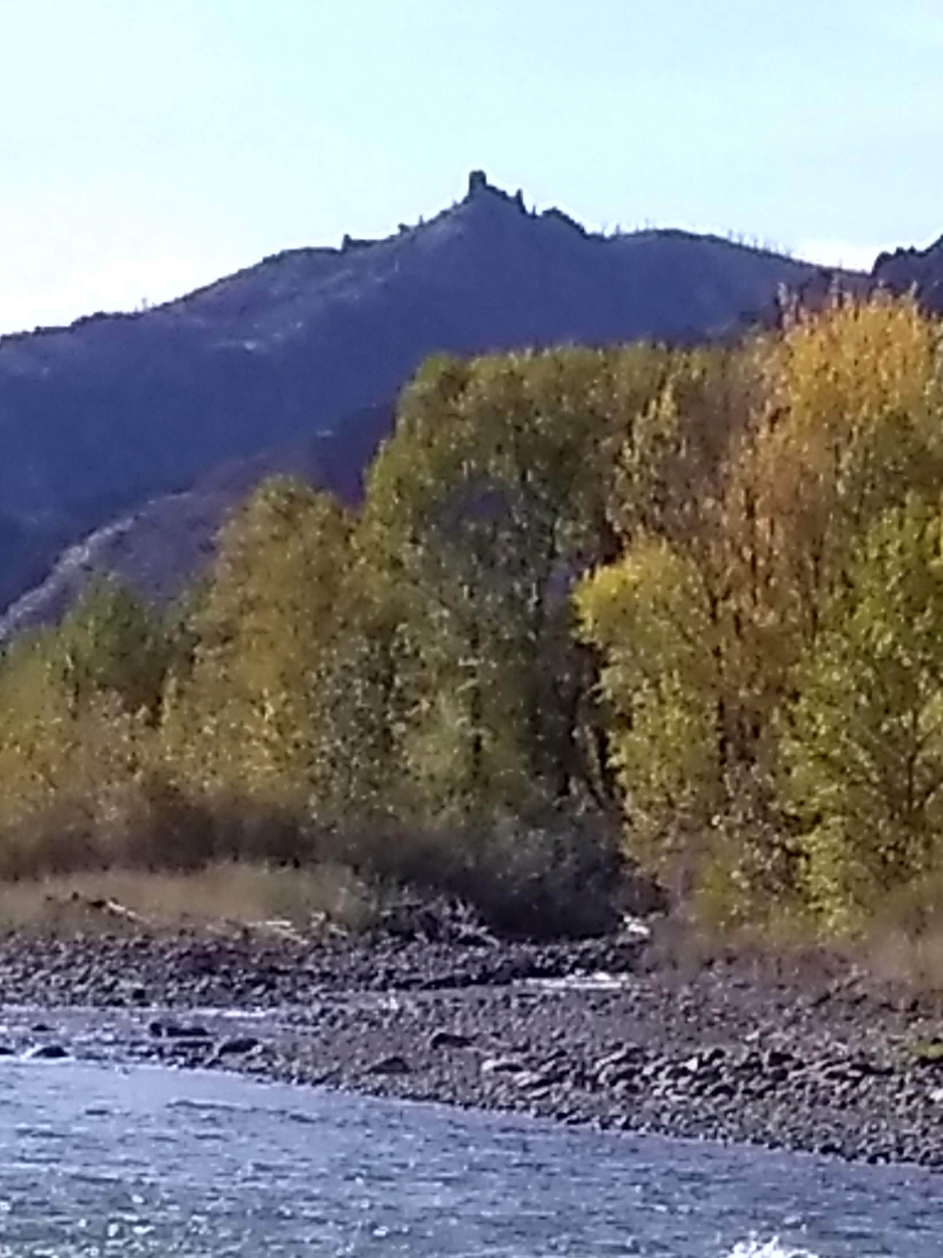 Camper submitted image from Wapiti Campground - 4