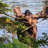 Review photo of Washington Creek Campground — Isle Royale National Park by Evan G., July 8, 2021