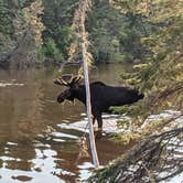 Review photo of Washington Creek Campground — Isle Royale National Park by Evan G., July 8, 2021