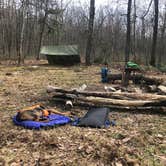 Review photo of Michaux State Forest by Joann&WellsThePup I., July 8, 2021