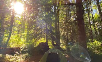 Shay Renee B.'s photo at BLM Molalla River Recreation Area near Wilsonville, OR