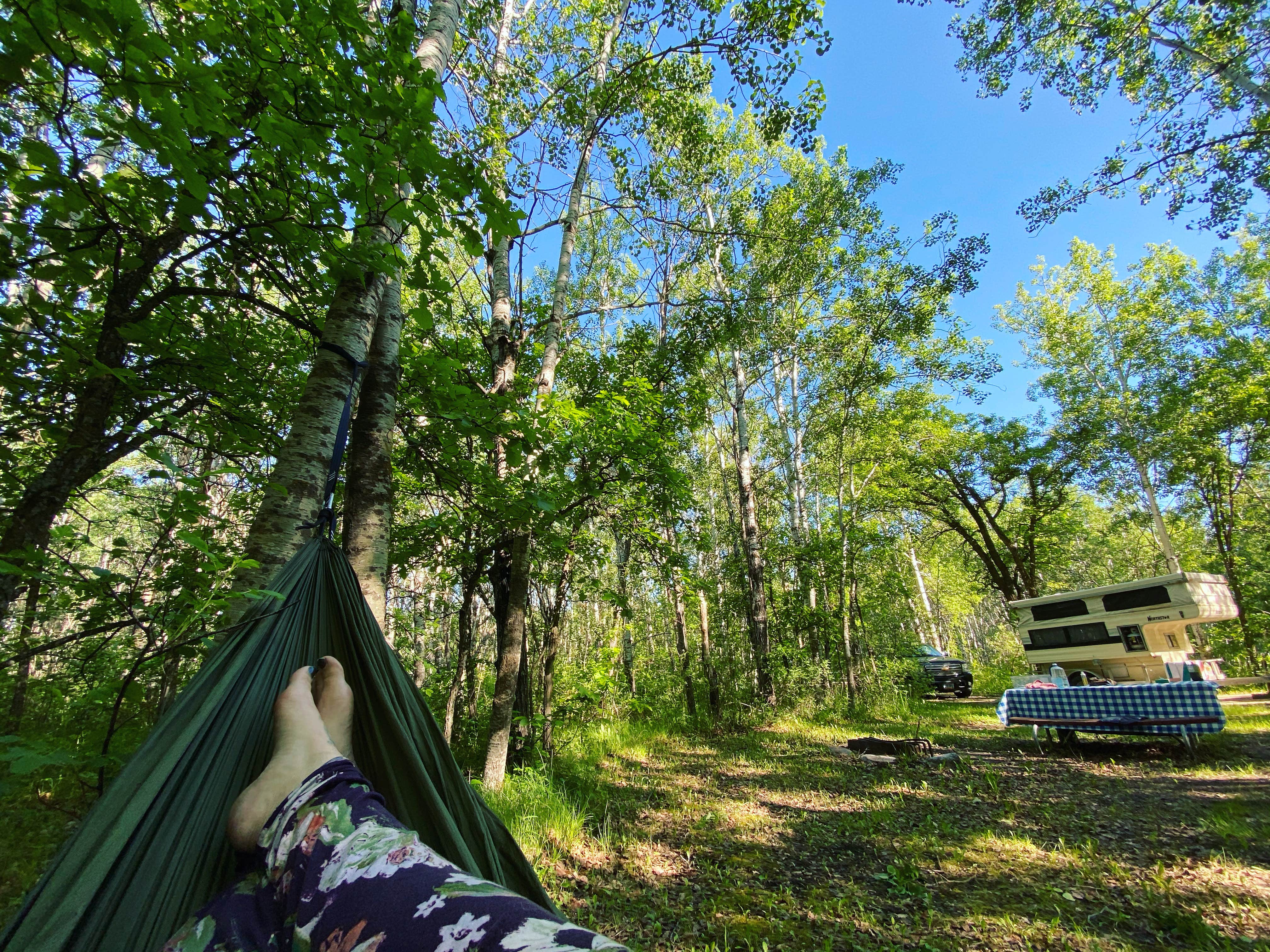 Camper-submitted photo at International Peace Garden near Towner, ND