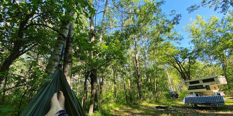 Camper submitted image from International Peace Garden