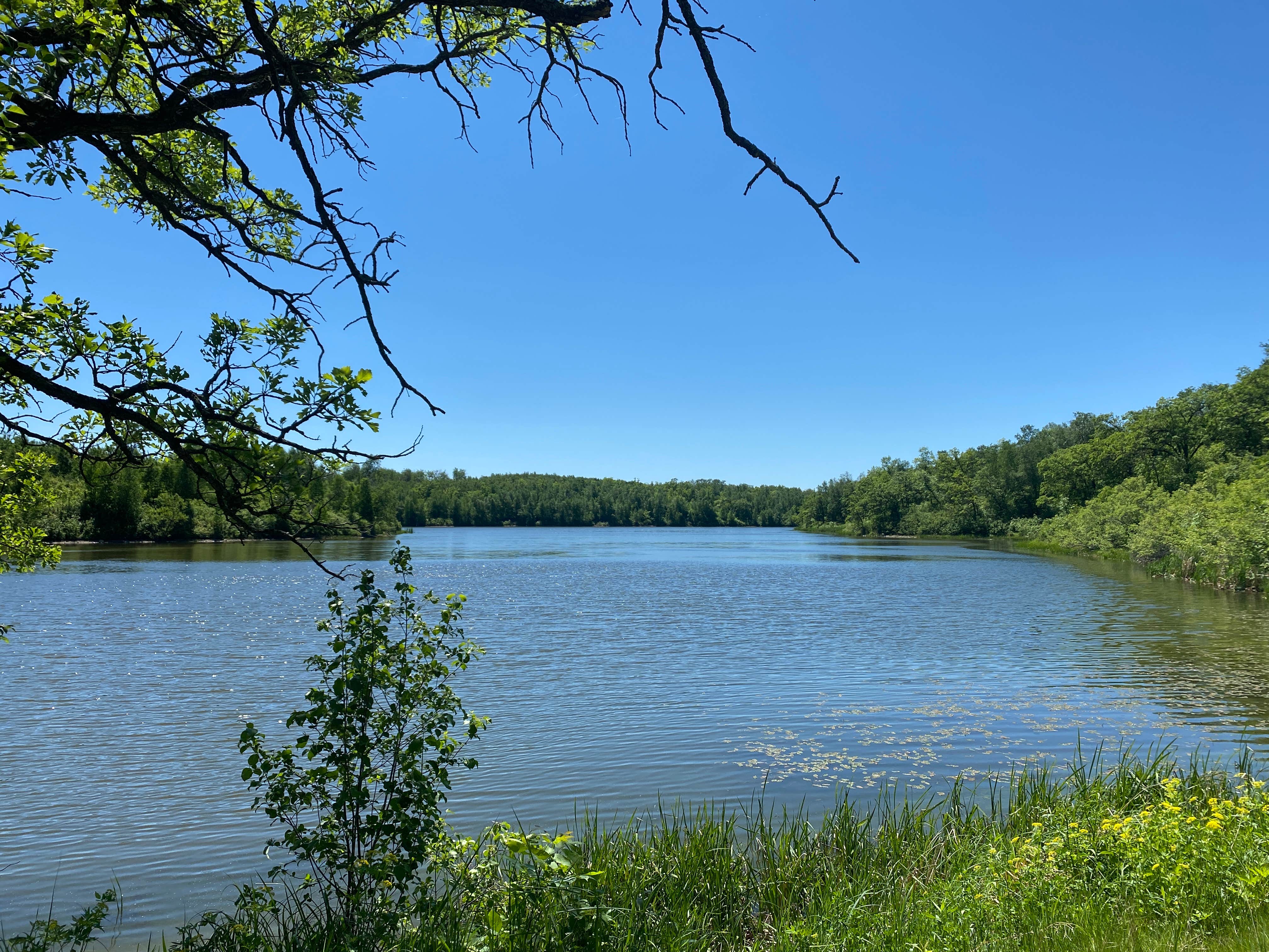 Camper-submitted photo at International Peace Garden near Towner, ND