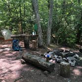 Review photo of Michaux State Forest by Joann&WellsThePup I., July 8, 2021