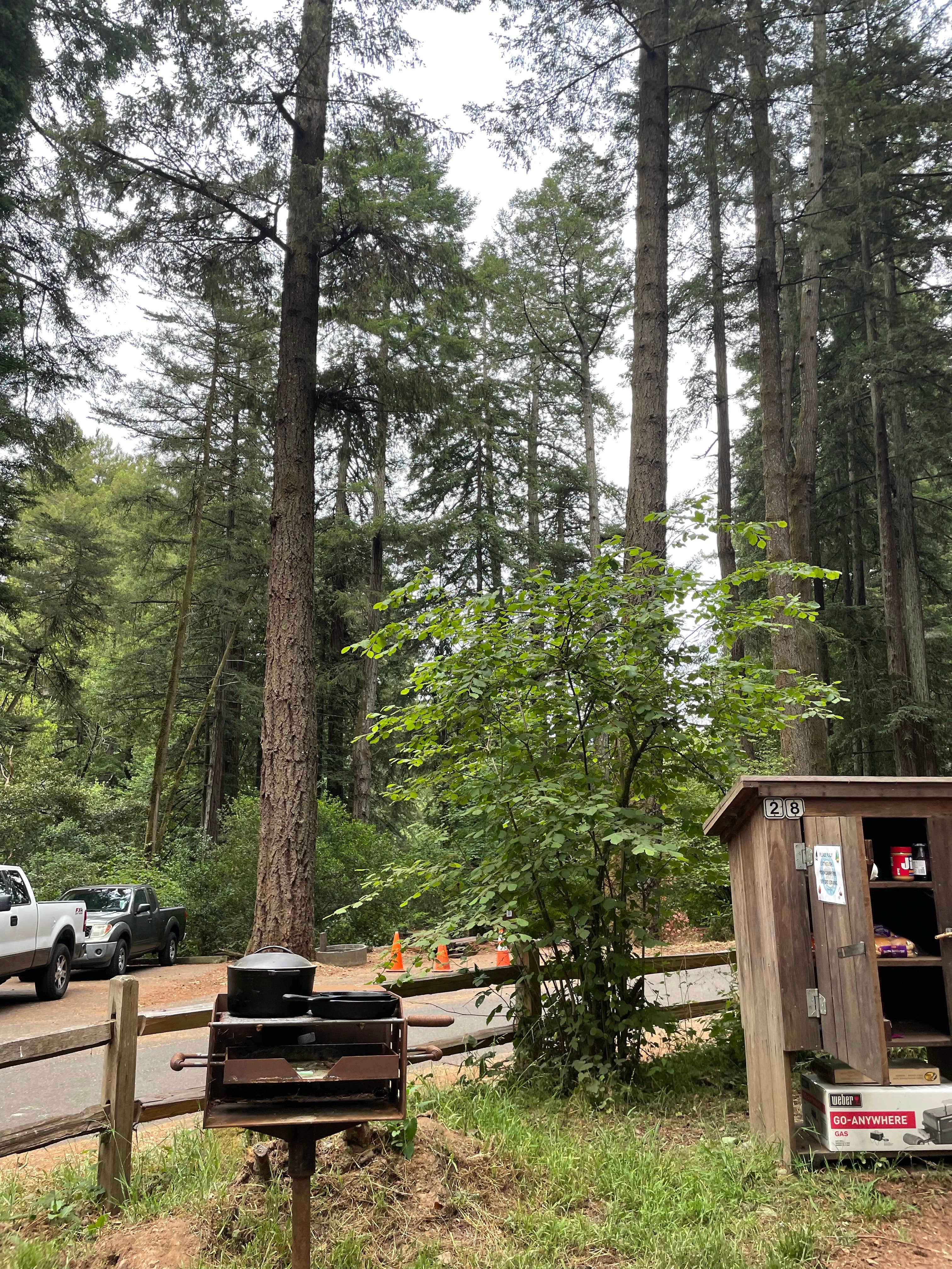 Maranda R.'s photo of a cabin at Samuel P. Taylor State Park Campground near Pittsburg, CA