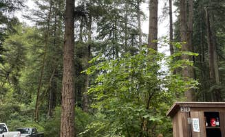 Maranda R.'s photo of a cabin at Samuel P. Taylor State Park Campground near Petaluma, CA