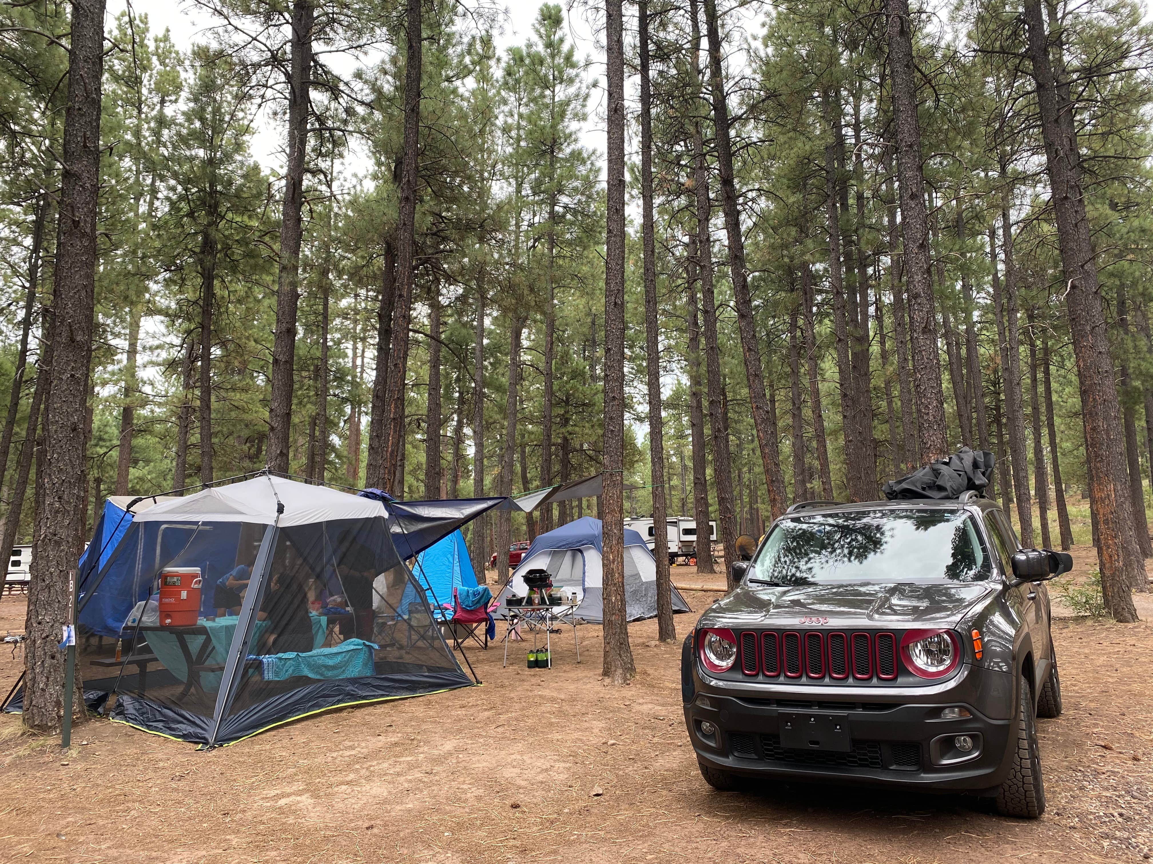 Camper submitted image from Fort Tuthill County Campground - 2