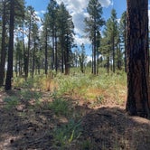 Review photo of Fort tuthill county campground by alicia , July 8, 2021