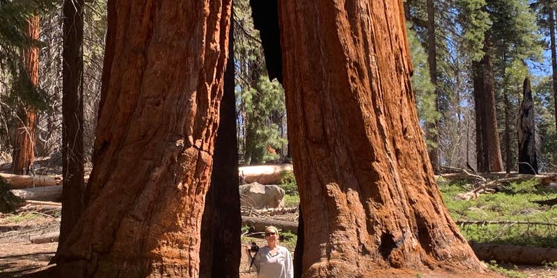 Camper submitted image from Alder Creek Camp