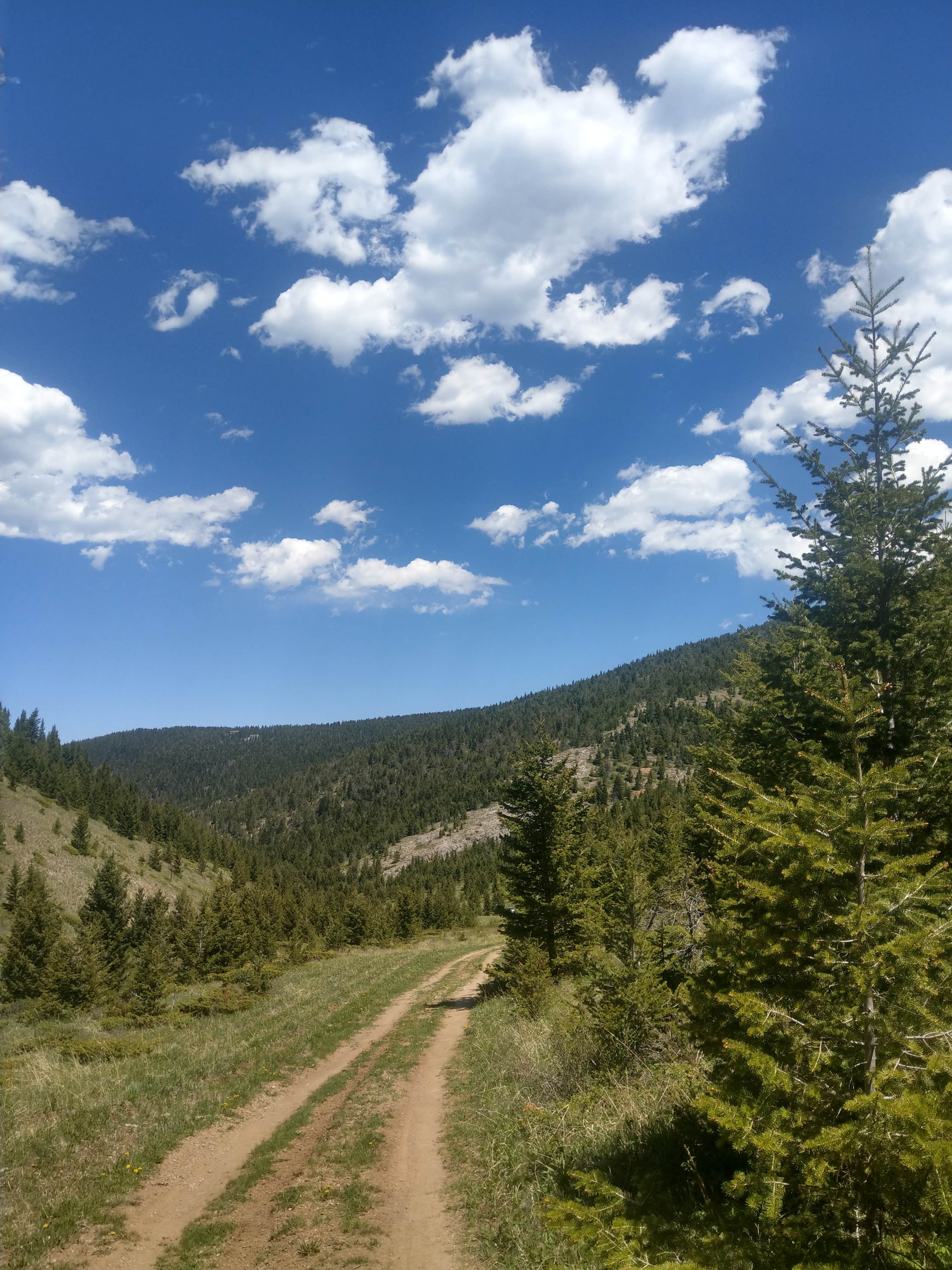 Camper-submitted photo at Dry Wolf Cabin near Moore, MT