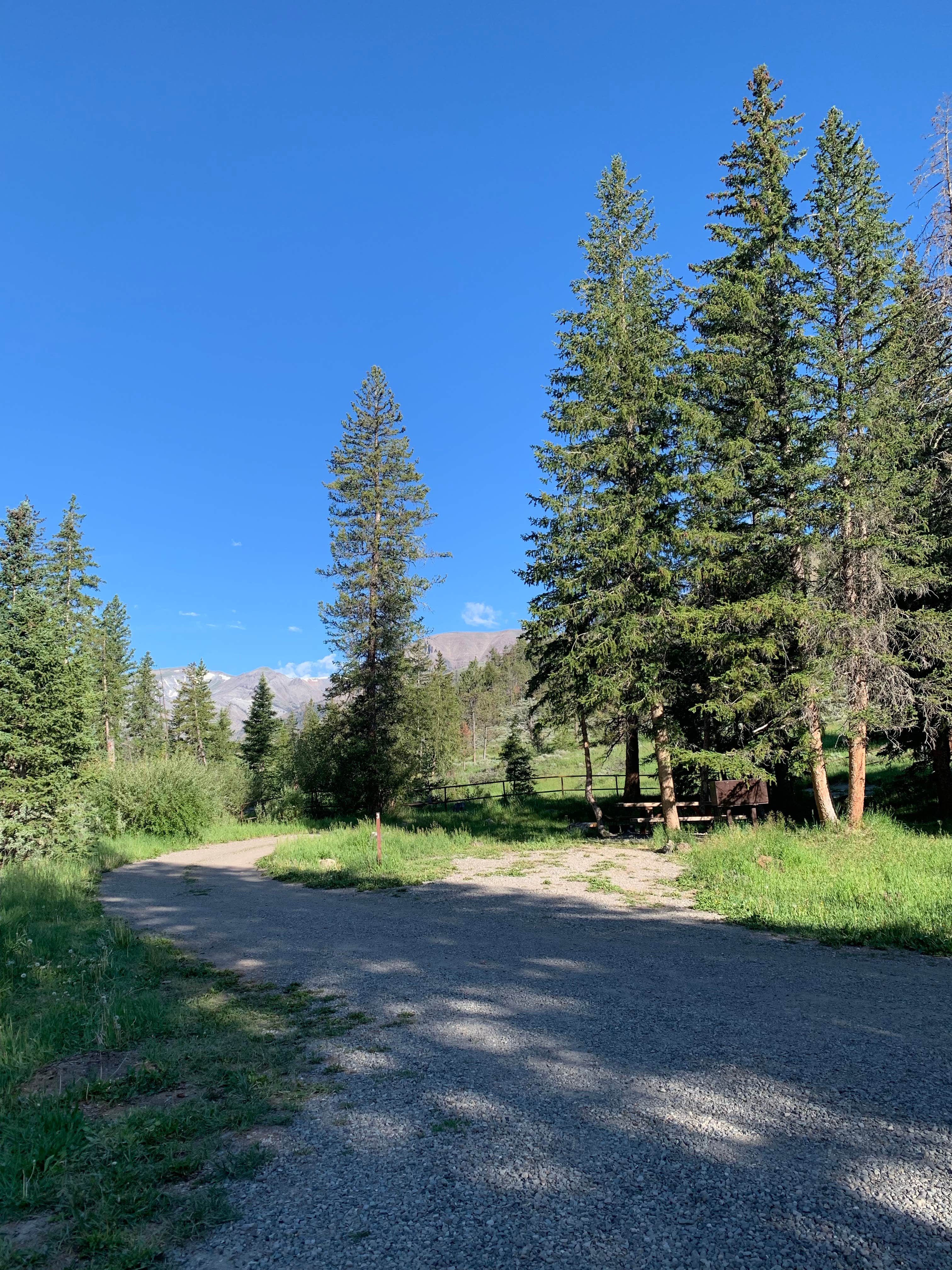 Camper-submitted photo at Wood River near Shoshone National Forest