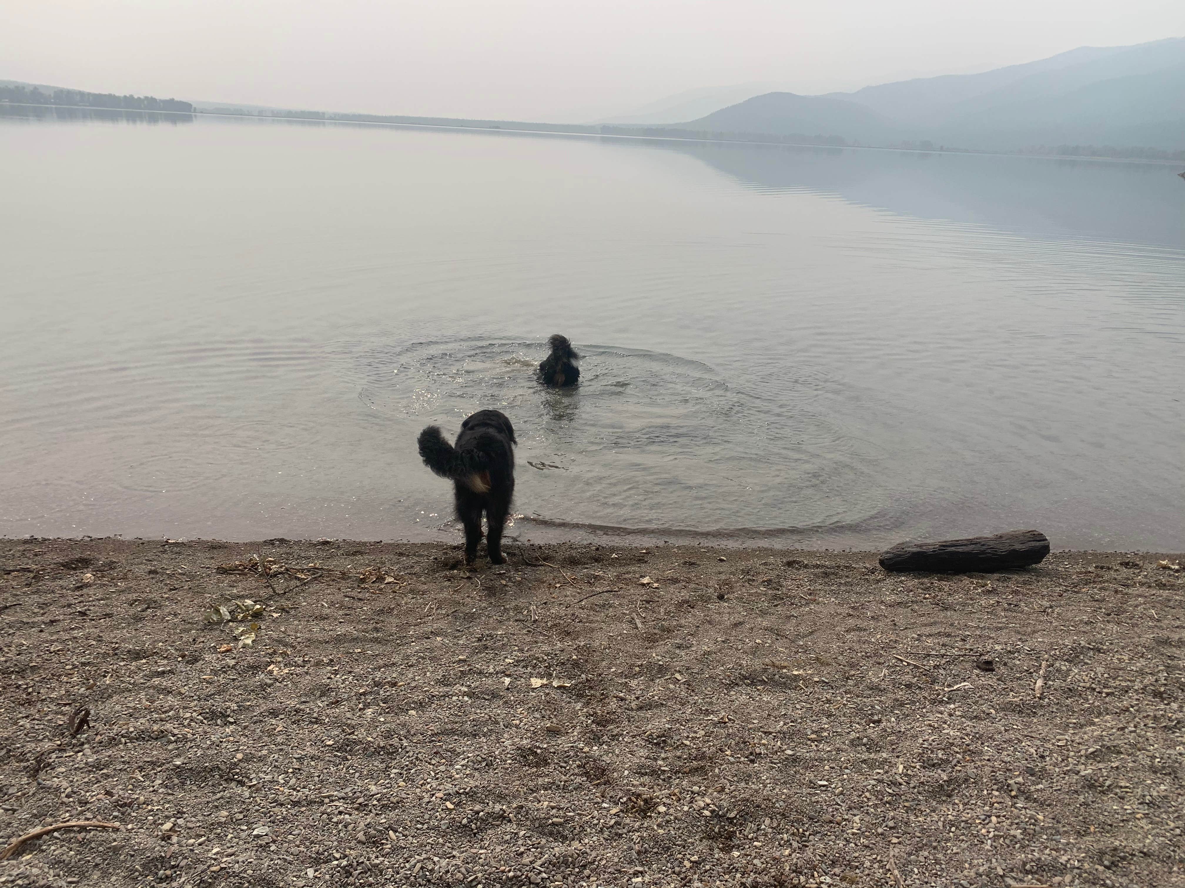 Sallie H.'s photo of camping with pets at Swan Lake Campground near Dayton, MT