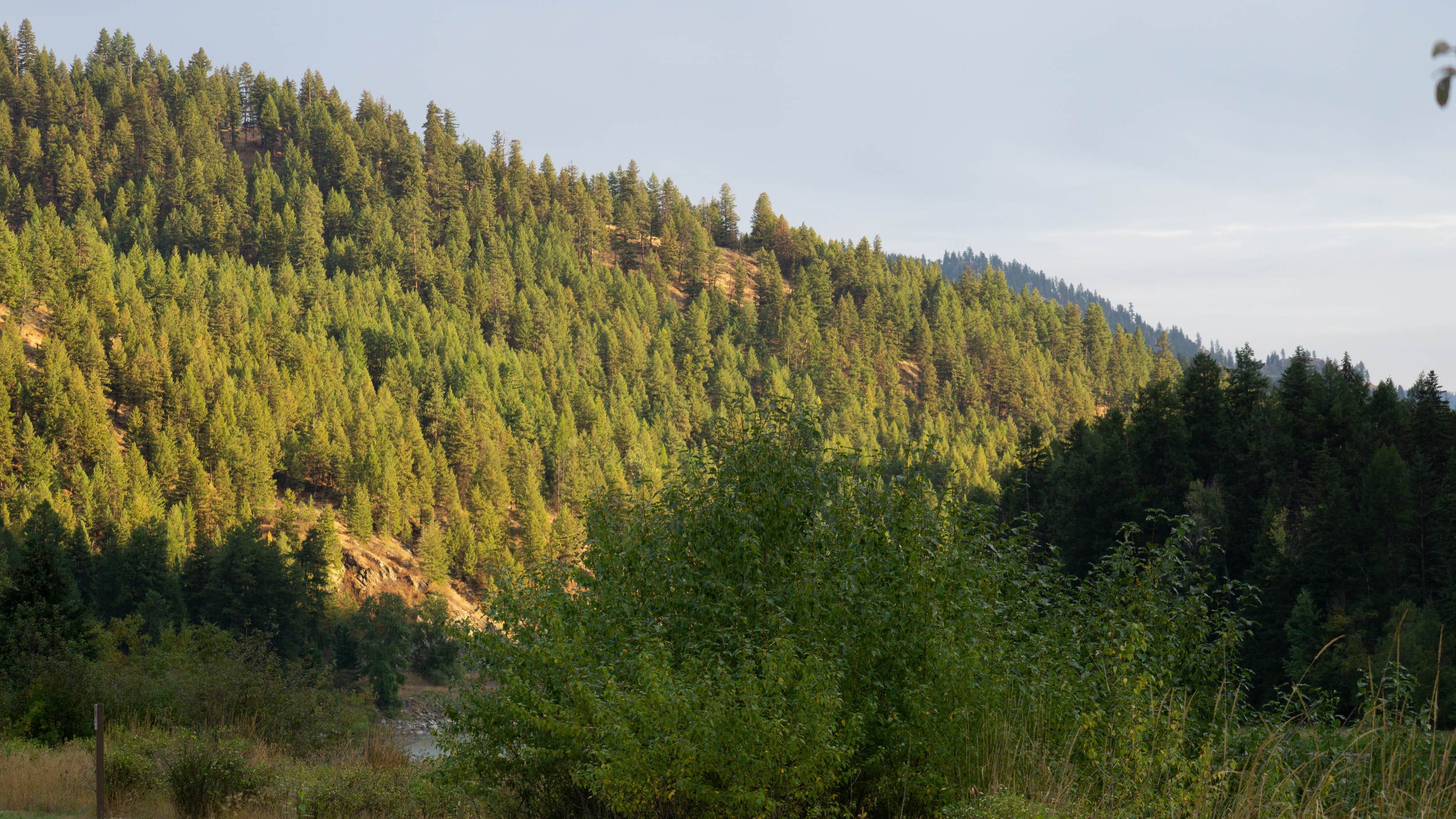 Dunn Creek Flats Campground The Dyrt