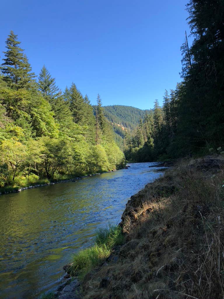 Camper submitted image from Mount Hood National Forest Lockaby Campground - TEMP CLOSED DUE TO FIRE DAMAGE - 2