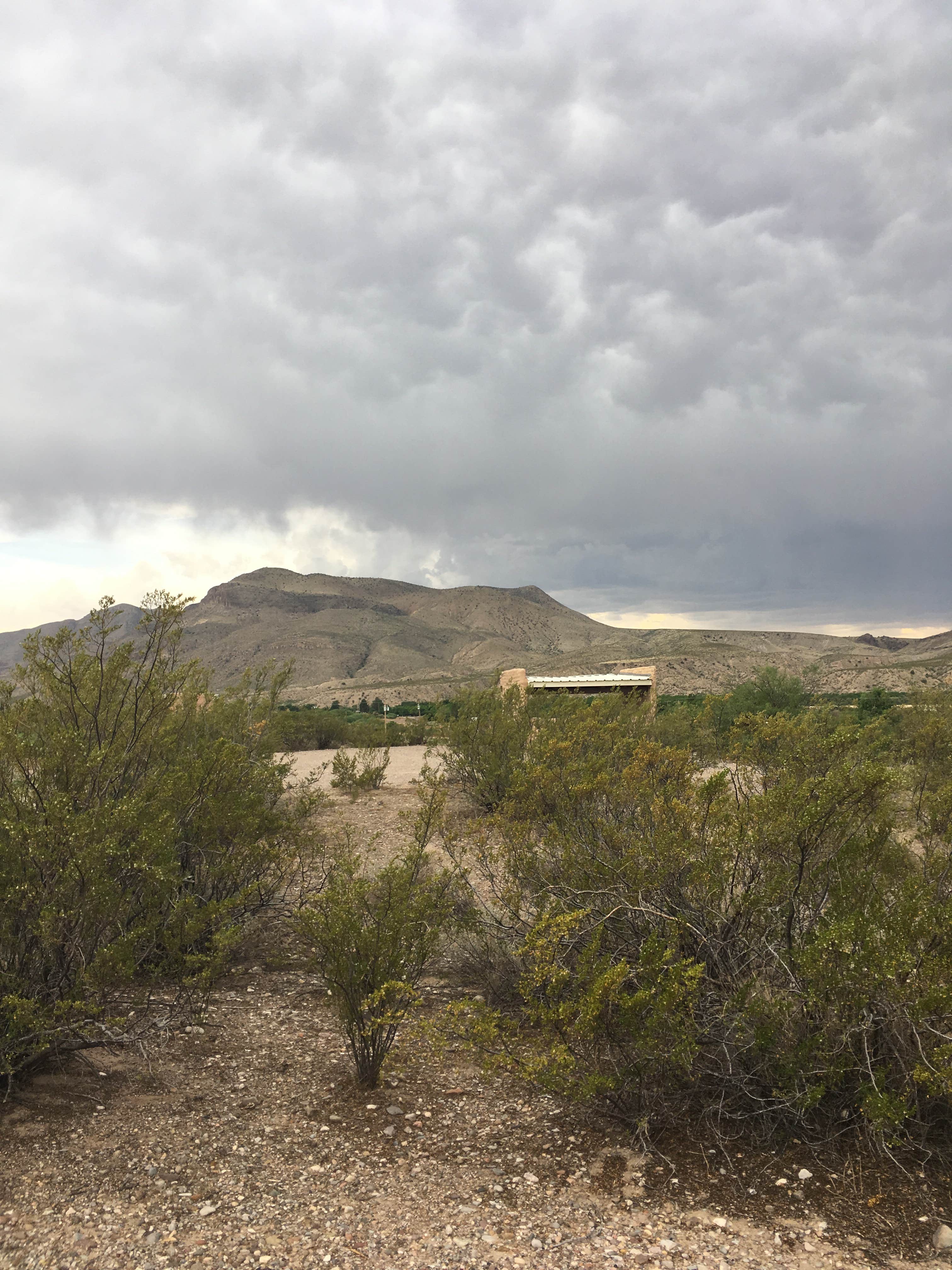 Camper-submitted photo at Leasburg Dam State Park Campground near Hatch, NM