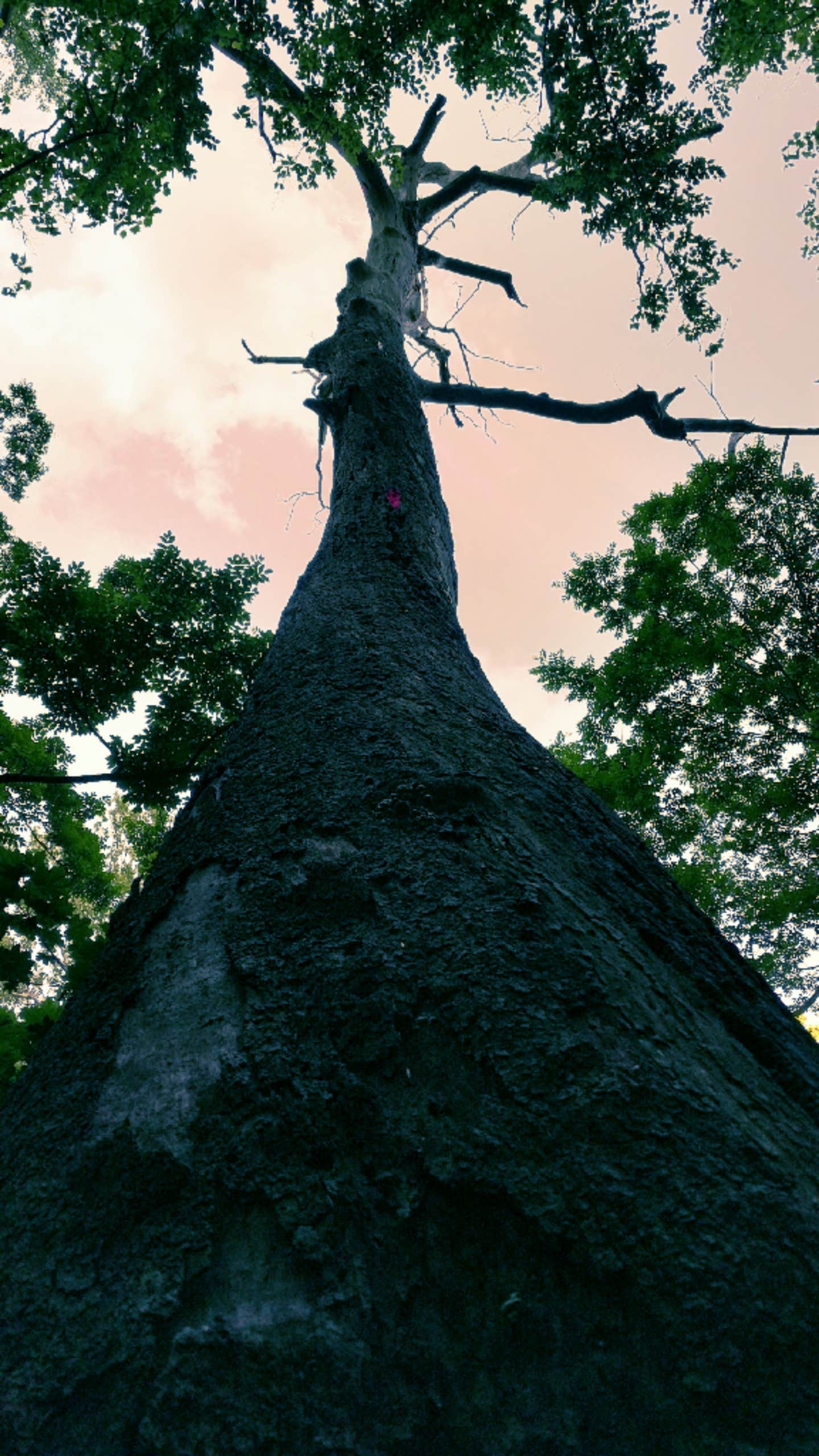 Camper-submitted photo at French Creek State Park Campground near Hockessin, DE