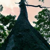 Review photo of French Creek State Park Campground by Andrew G., June 13, 2018