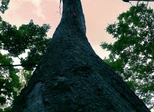 French Creek State Park Campground