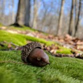 Review photo of Ravensburg State Park Campground by Andrew G., June 13, 2018