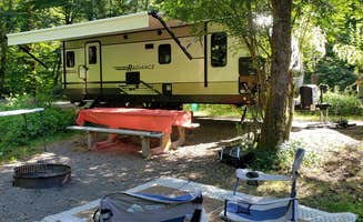 Angie E.'s photo at Ike Kinswa State Park Campground near Toutle, WA