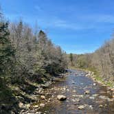 Review photo of Green Mountain National Forest FR207 by Joann&WellsThePup I., July 9, 2021